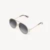 Women Chloé Austine Sunglasses