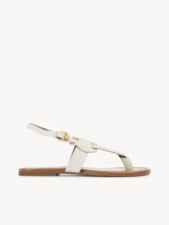 Women Chloé Chany Flat Sandal