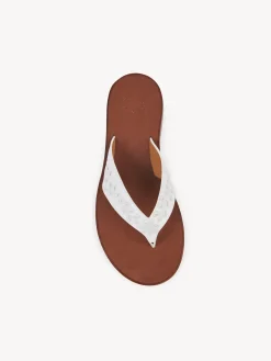 Women Chloé Chloe X Eres Paz Flat Sandal