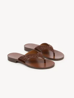 Women Chloé Chloe X Eres Paz Flat Sandal