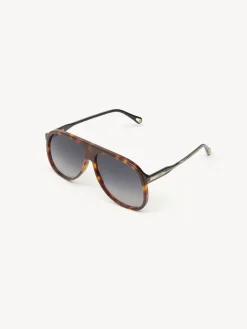 Women Chloé Dannie Sunglasses
