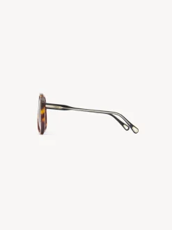 Women Chloé Dannie Sunglasses