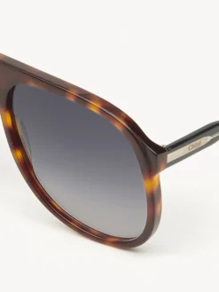 Women Chloé Dannie Sunglasses