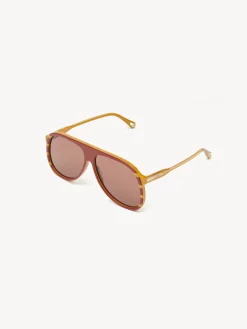 Women Chloé Dannie Sunglasses