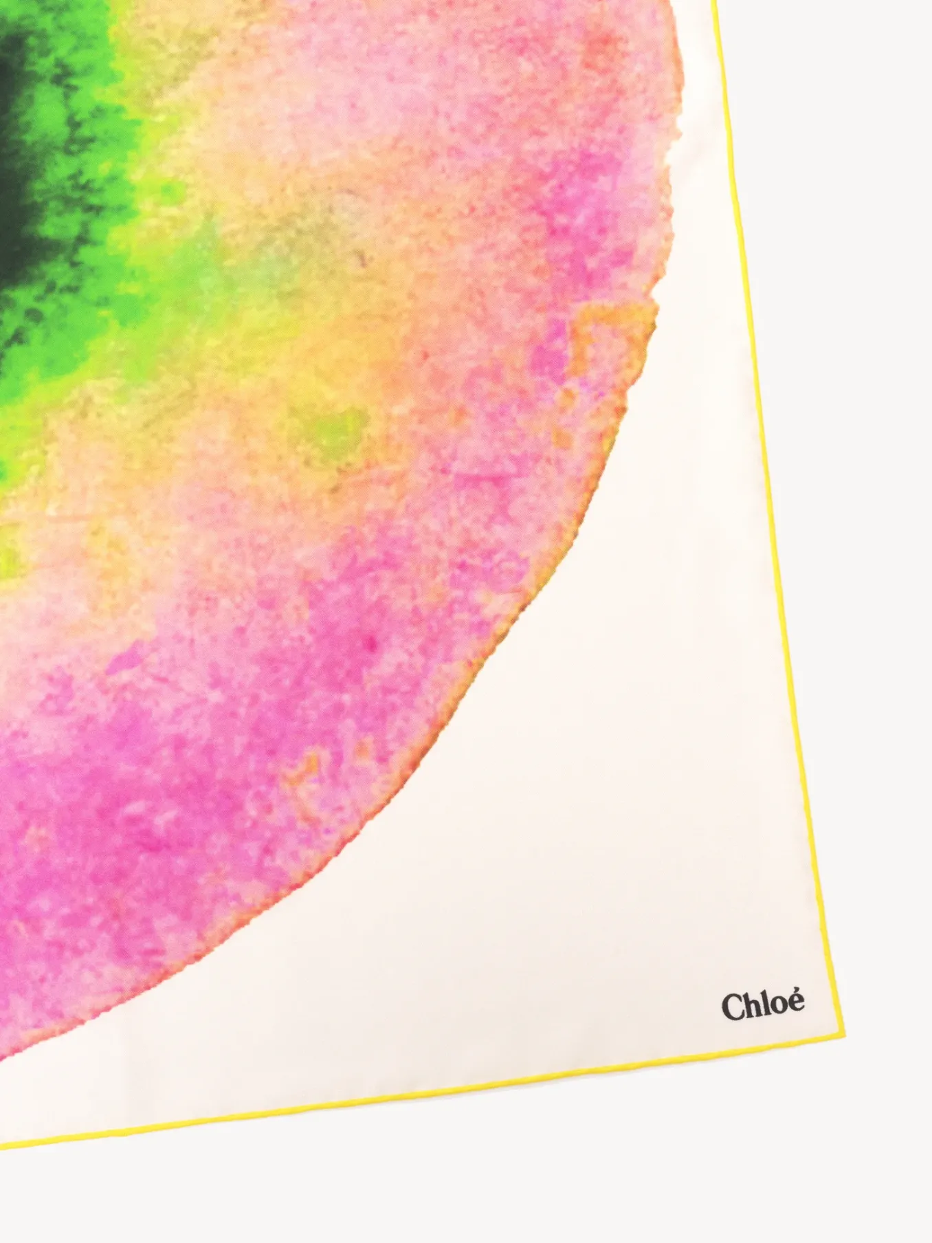 Women Chloé Fusion Printed Scarf