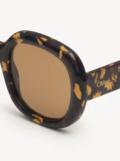 Women Chloé Gayia Sunglasses
