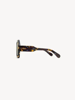 Women Chloé Gayia Sunglasses