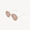 Women Chloé Idora Sunglasses