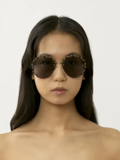 Women Chloé Idora Sunglasses
