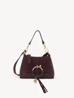 Women Chloé Joan Mini Cross-Body Bag