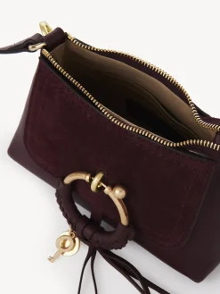 Women Chloé Joan Mini Cross-Body Bag