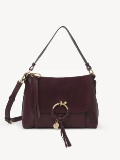 Women Chloé Joan Small Cross-Body Bag