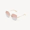Women Chloé Joni Sunglasses