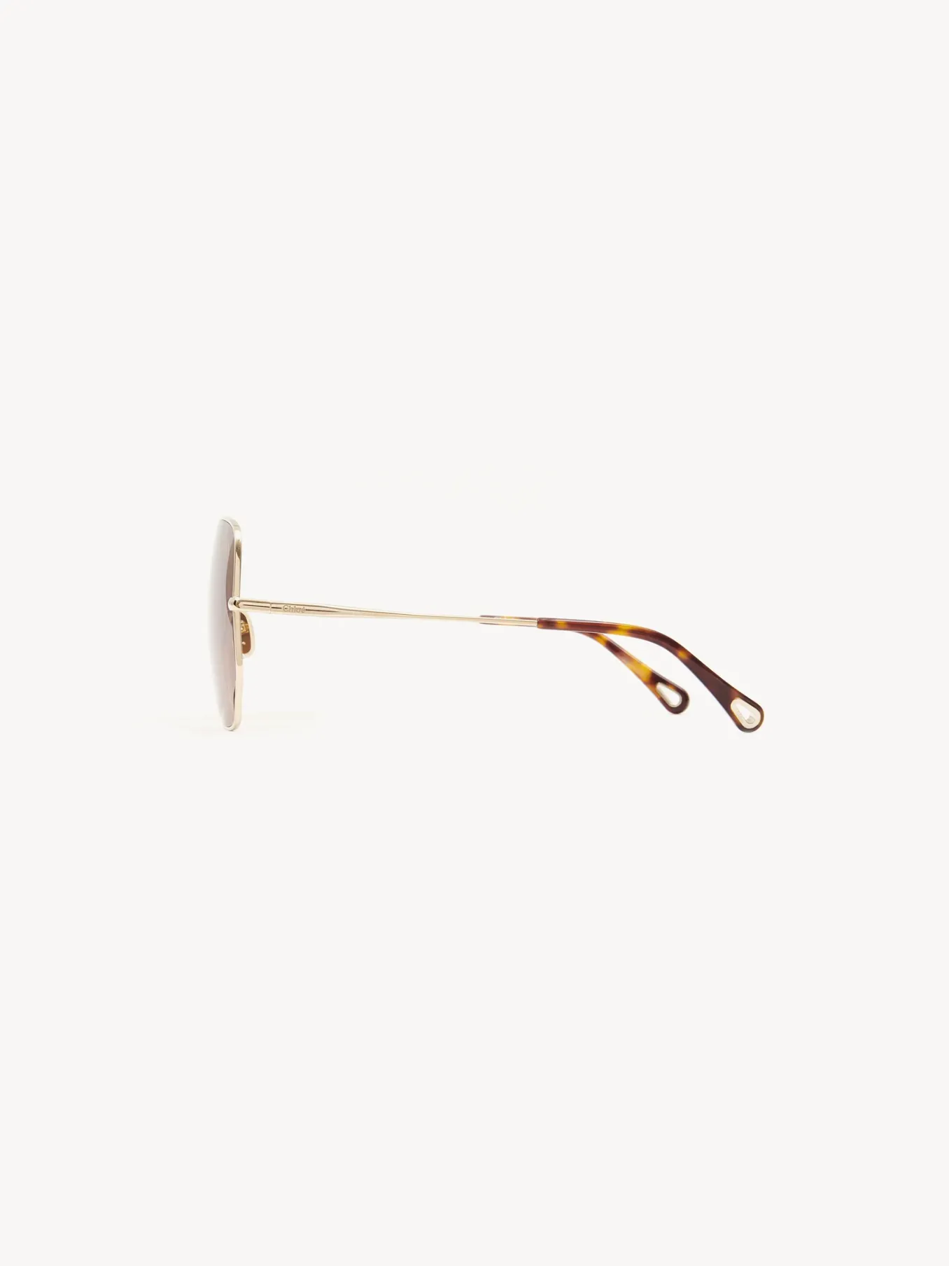 Women Chloé Joni Sunglasses