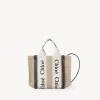 Women Chloé Mini Woody Tote Bag