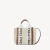 Women Chloé Mini Woody Tote Bag