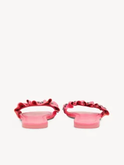 Women Chloé Mollie Flat Mule