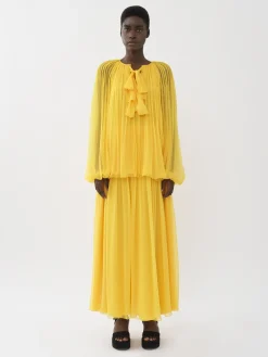 Women Chloé Pleated Maxi Skirt