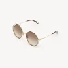 Women Chloé Poppy Petite Sunglasses