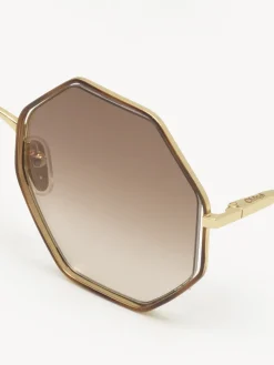 Women Chloé Poppy Petite Sunglasses