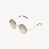 Women Chloé Rosie Petite Sunglasses