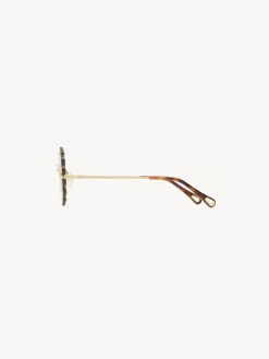 Women Chloé Rosie Petite Sunglasses