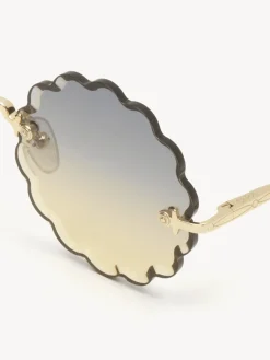 Women Chloé Rosie Petite Sunglasses