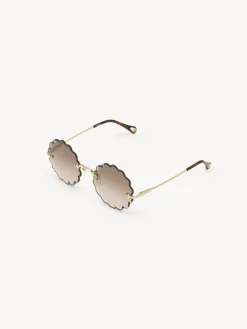 Women Chloé Rosie Petite Sunglasses