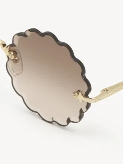 Women Chloé Rosie Petite Sunglasses