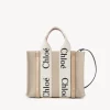 Women Chloé Small Woody Tote Bag