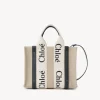 Women Chloé Small Woody Tote Bag