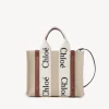 Women Chloé Small Woody Tote Bag