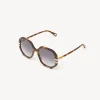 Women Chloé West Petite Sunglasses