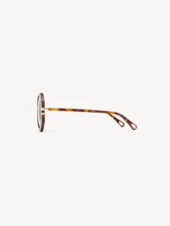 Women Chloé West Petite Sunglasses