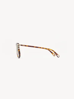 Women Chloé West Petite Sunglasses