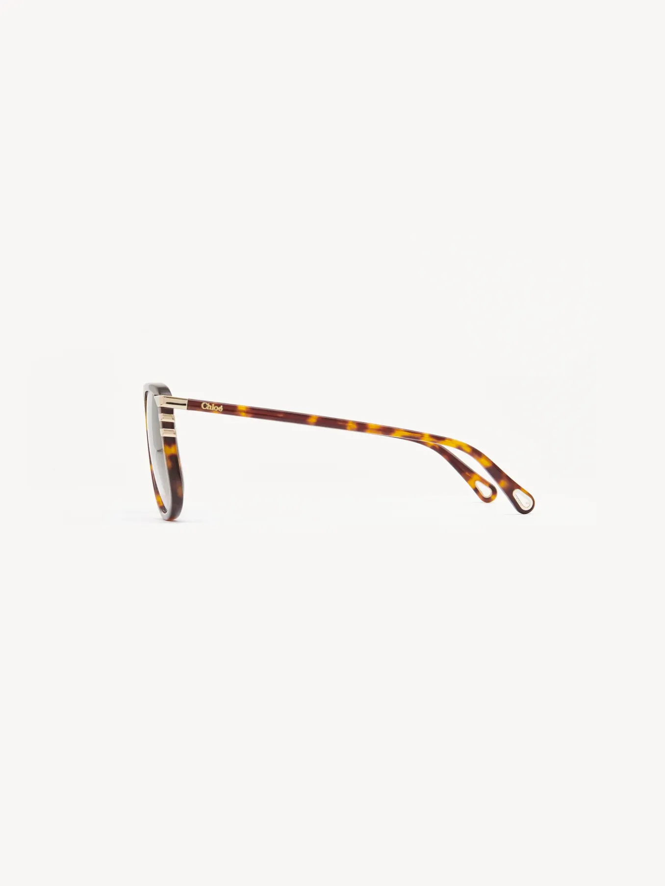 Women Chloé West Petite Sunglasses