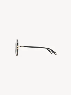 Women Chloé West Petite Sunglasses