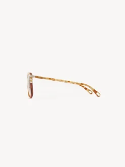 Women Chloé West Petite Sunglasses