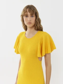 Women Chloé Wing-Sleeve Dress