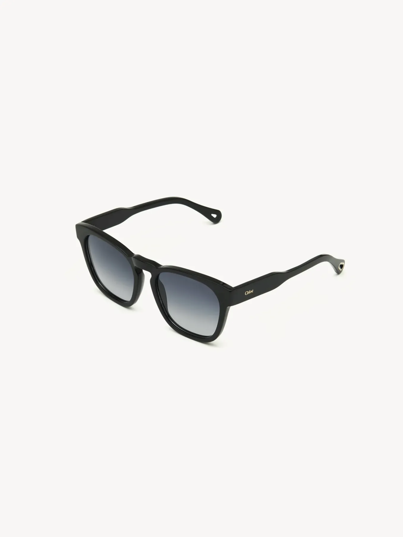 Women Chloé Xena Sunglasses