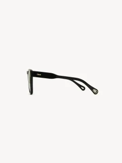 Women Chloé Xena Sunglasses