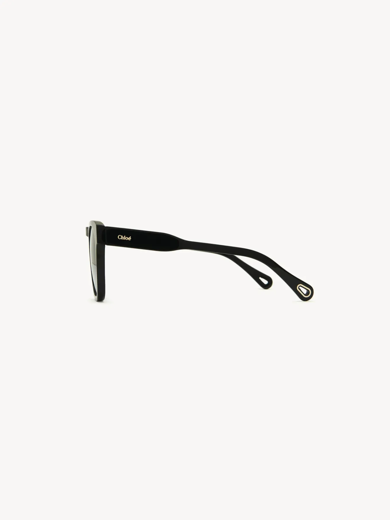 Women Chloé Xena Sunglasses