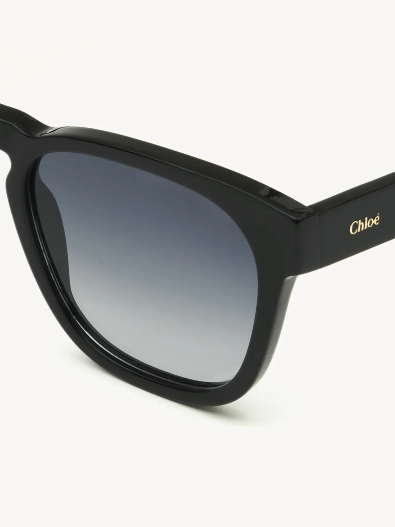 Women Chloé Xena Sunglasses