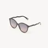 Women Chloé Zelie Sunglasses