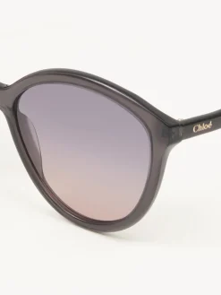 Women Chloé Zelie Sunglasses