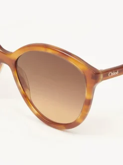 Women Chloé Zelie Sunglasses