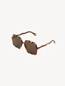 Women Chloé Zelie Sunglasses