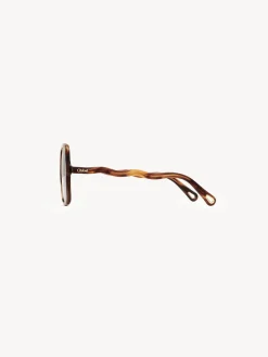 Women Chloé Zelie Sunglasses