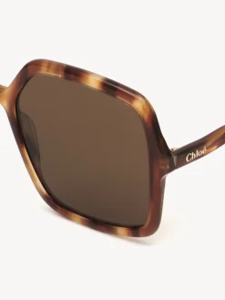 Women Chloé Zelie Sunglasses