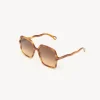 Women Chloé Zelie Sunglasses